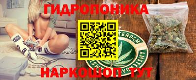 шишки Краснознаменск