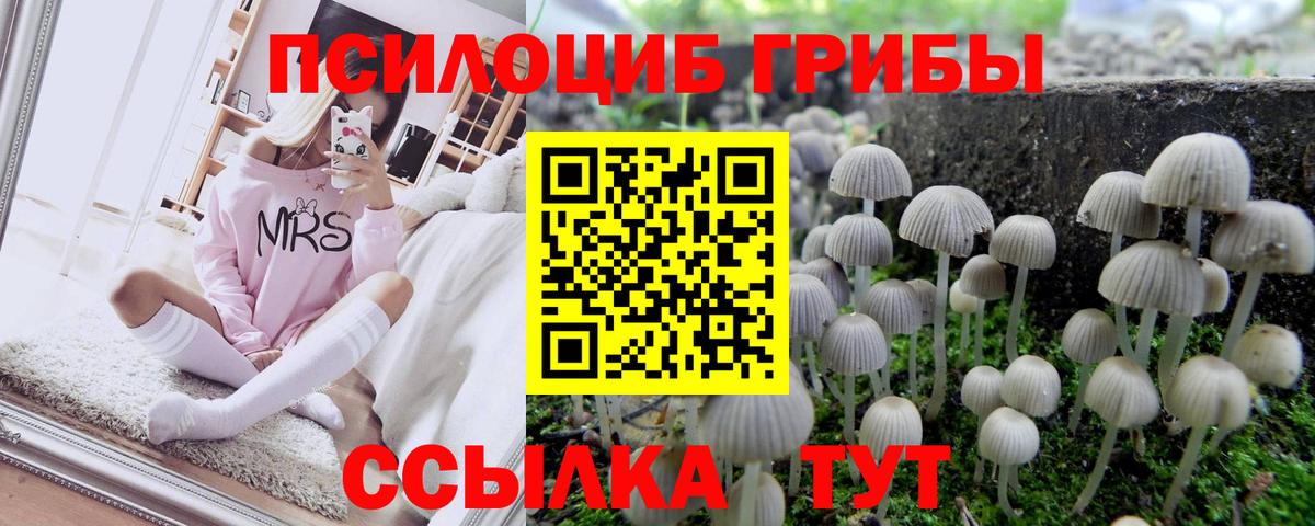 Псилоцибиновые грибы Cubensis Кемерово